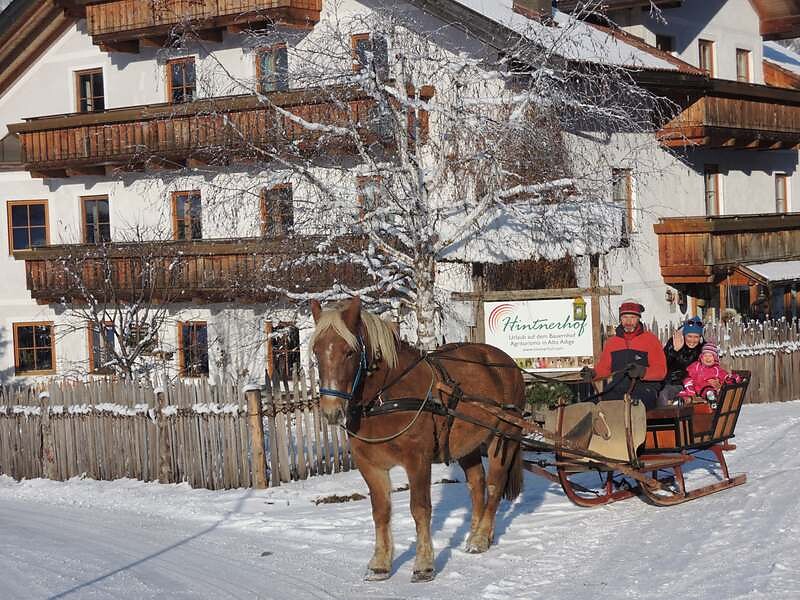 Horse sleight rides