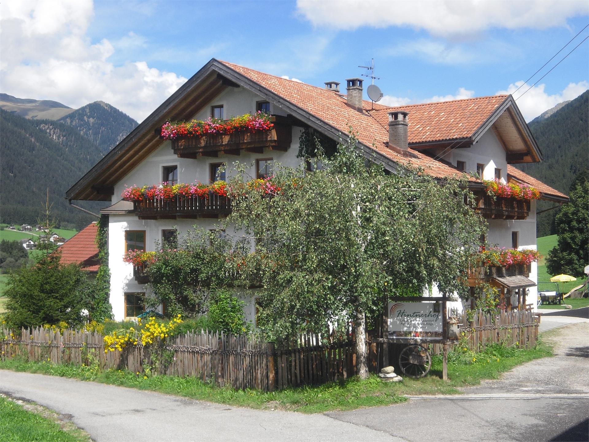 Hintnerhof Gsies 1 suedtirol.info