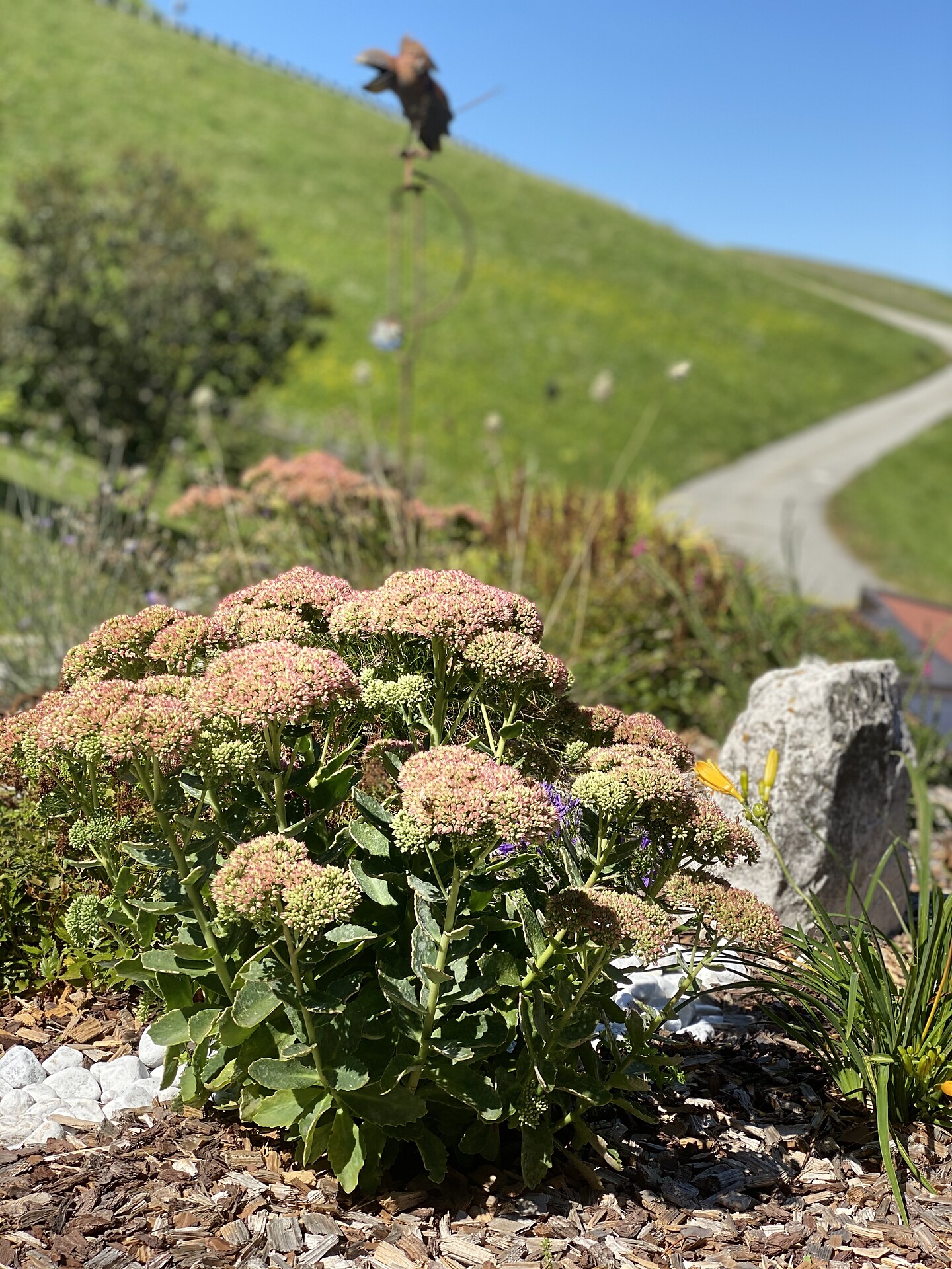 Rosengartenblick