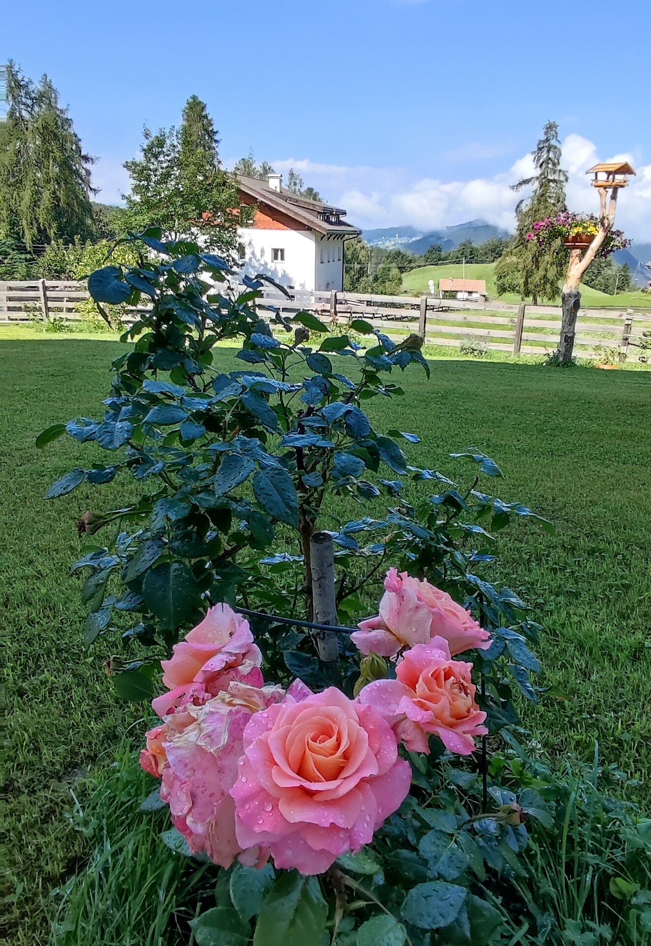 Haus Stefan Oberbozen Ritten