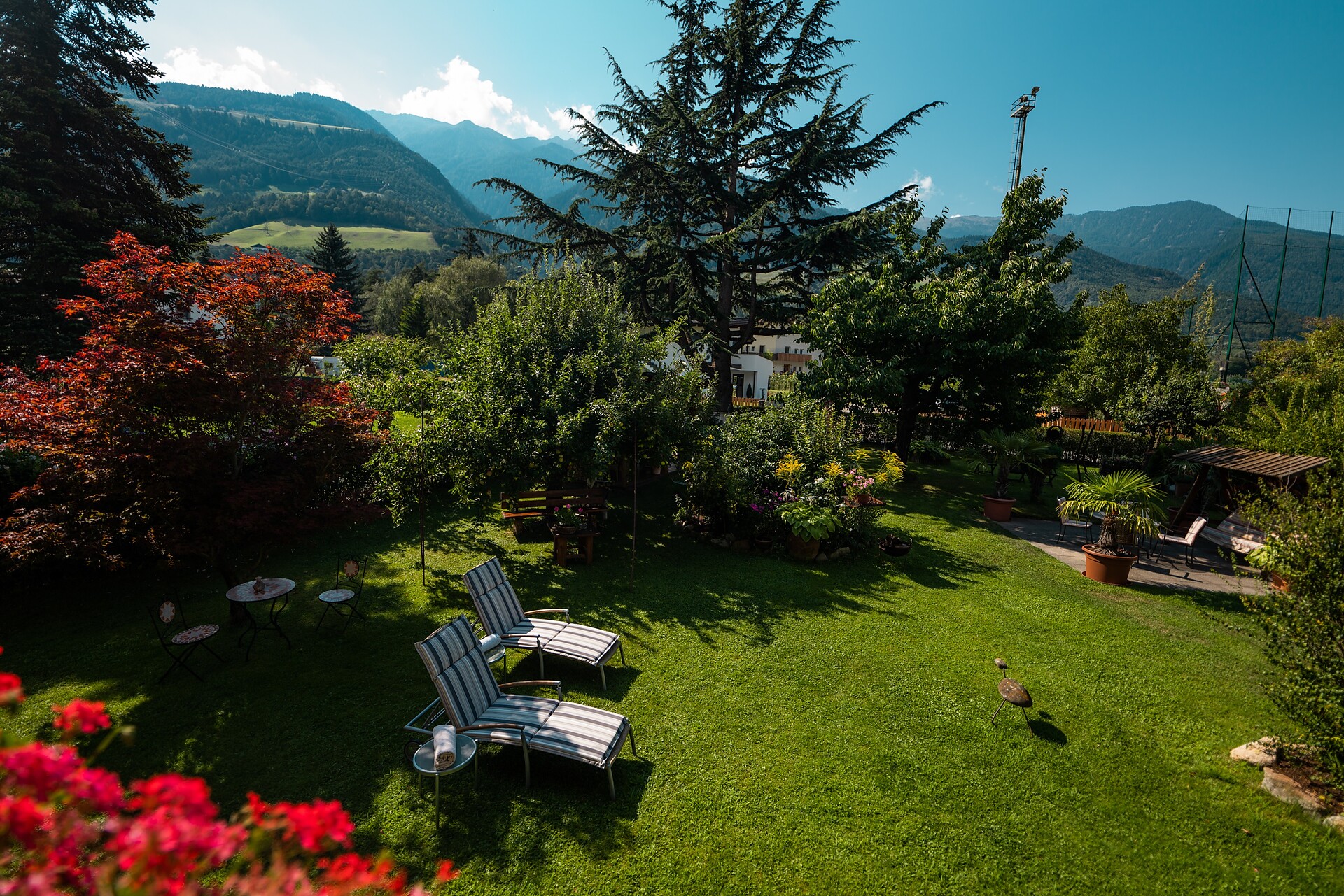 Giardino