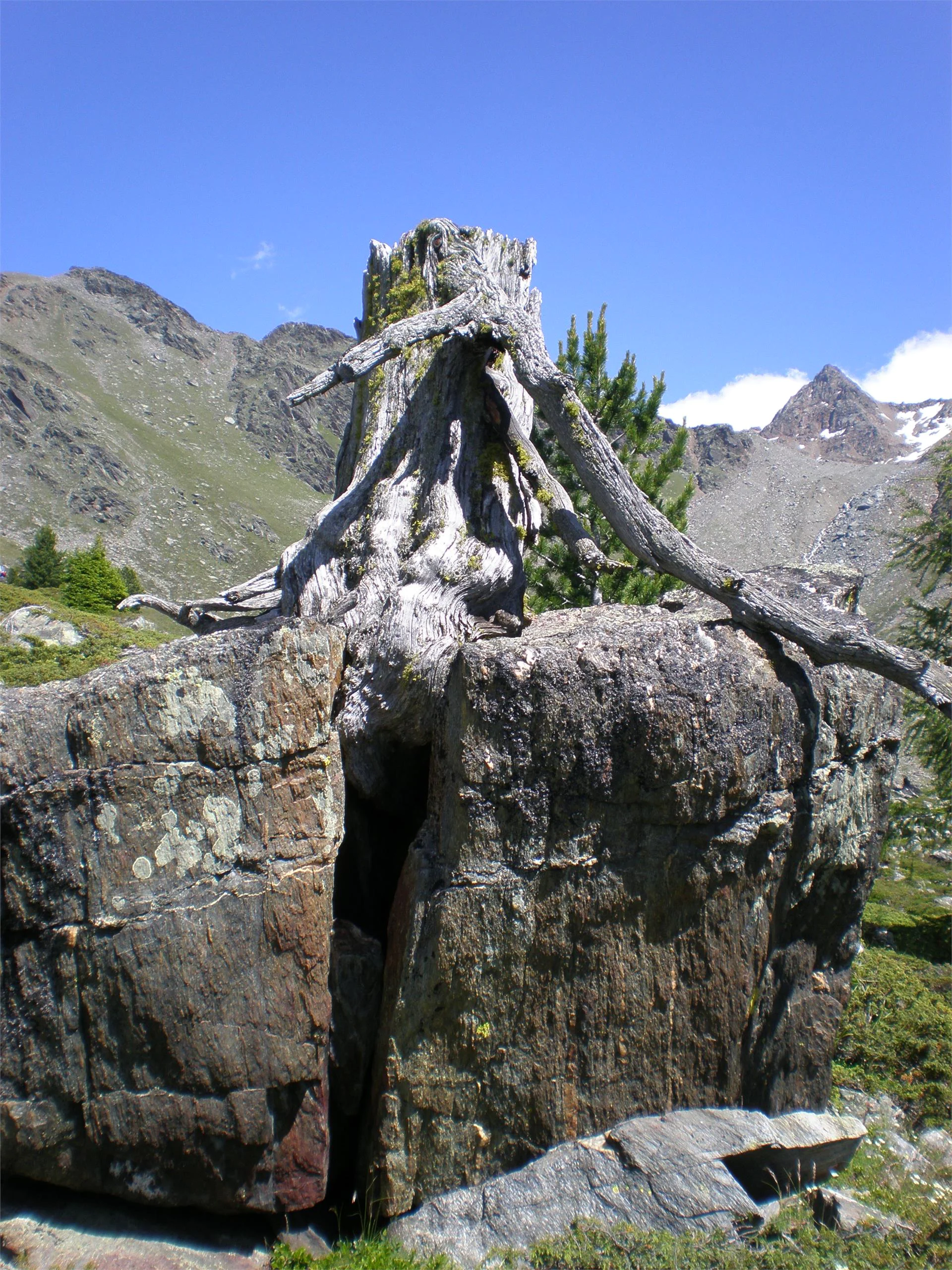 Casa Talblick Naturno 14 suedtirol.info
