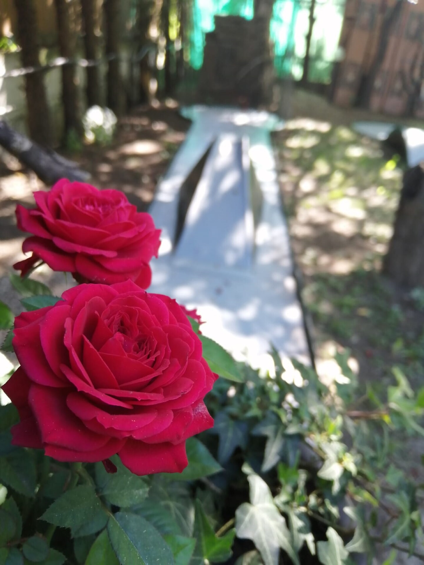 giardino