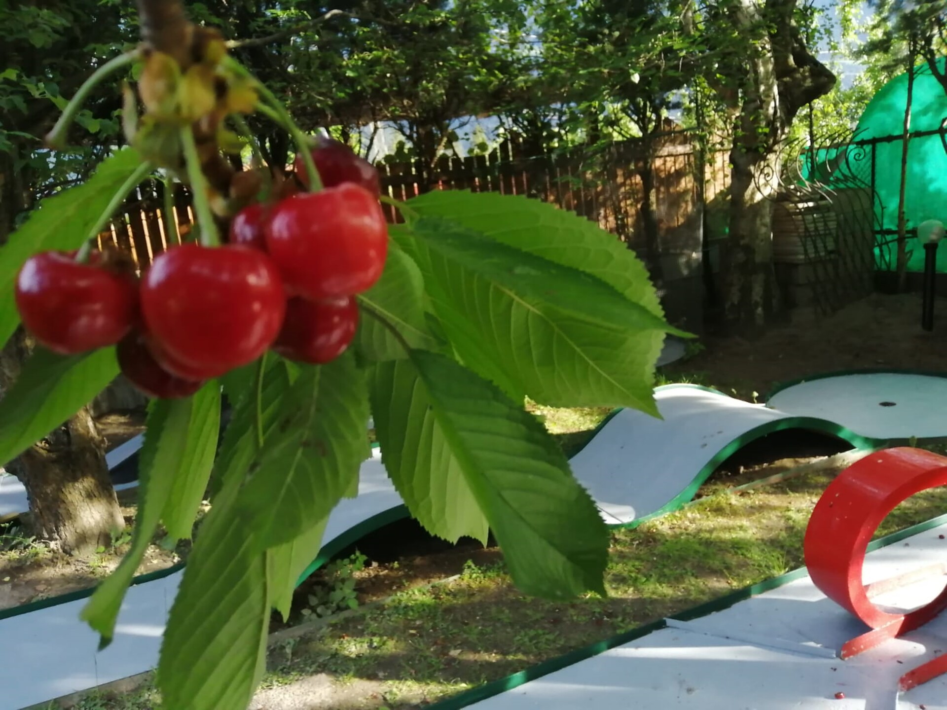 giardino con piste da Minigolf