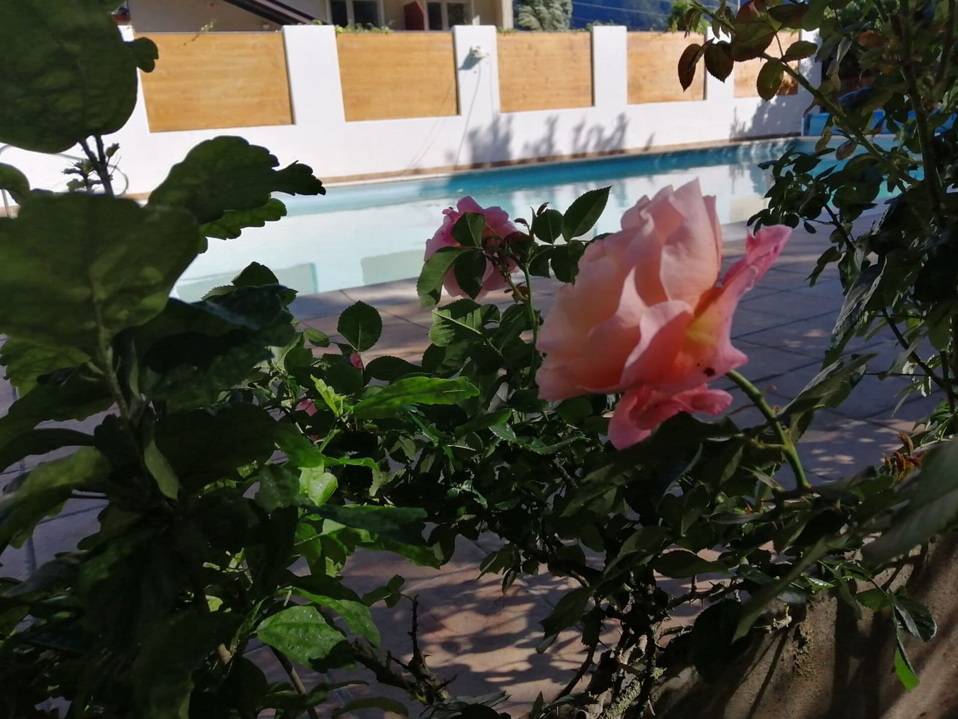 piscina