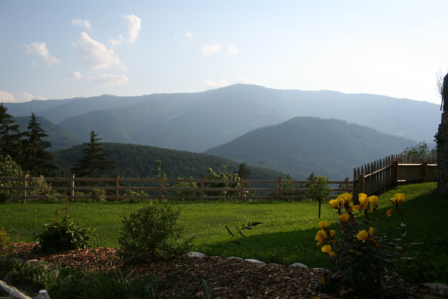 il giardino
