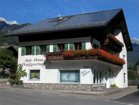 Hopfgartner Appartement Haus Ahrntal/Valle Aurina 1 suedtirol.info