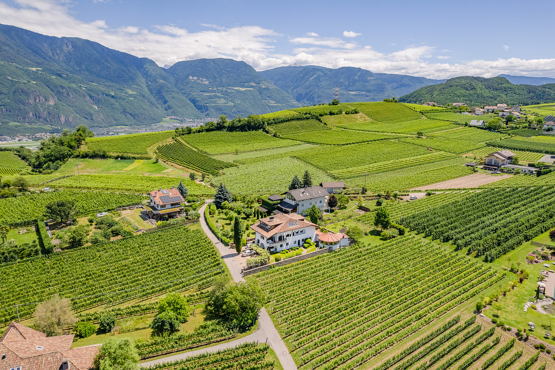 Haus Oberhofer Eppan an der Weinstraße 4 suedtirol.info
