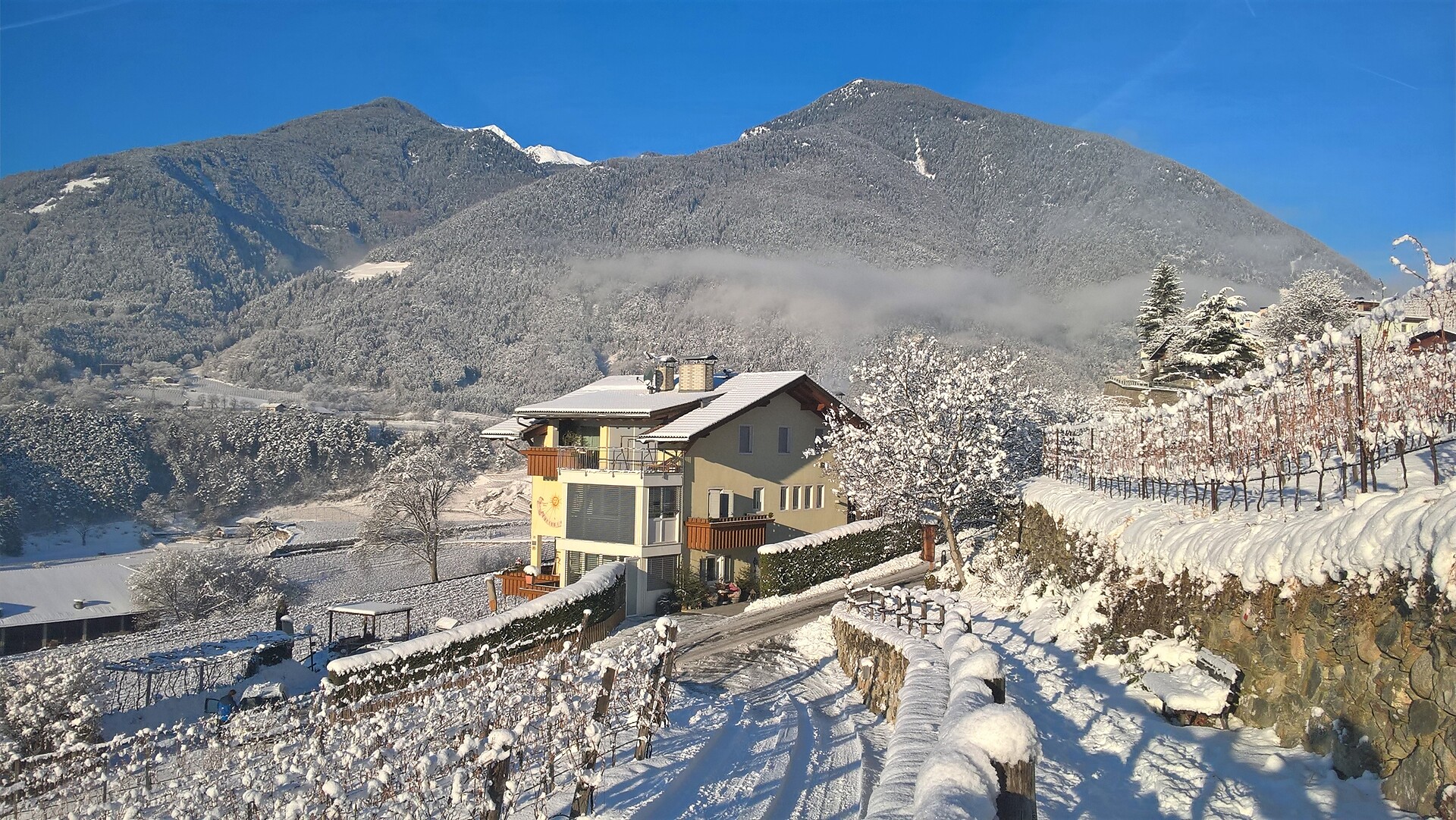 Haus Karin Vahrn/Varna 16 suedtirol.info