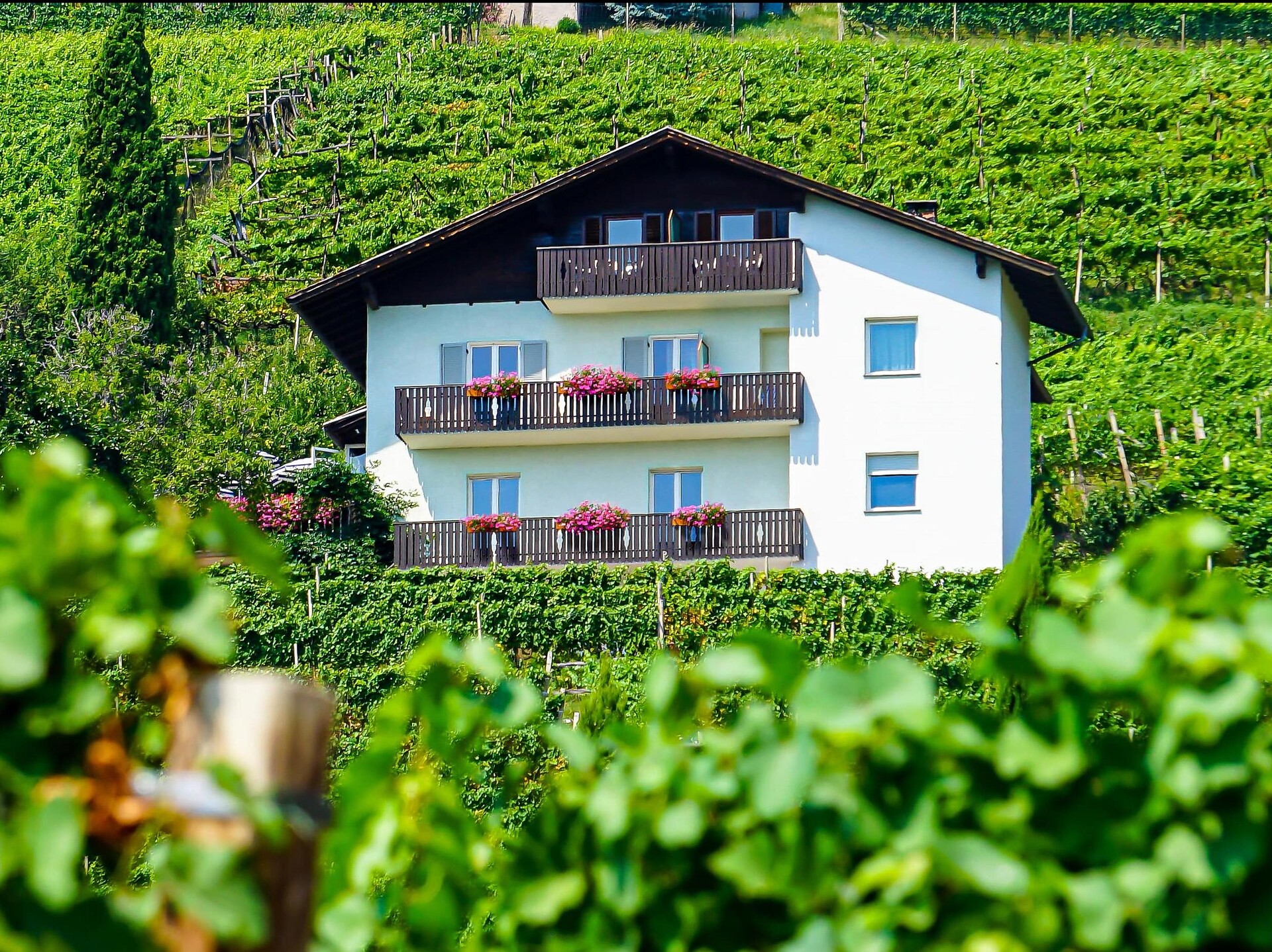 Hanspeterhof