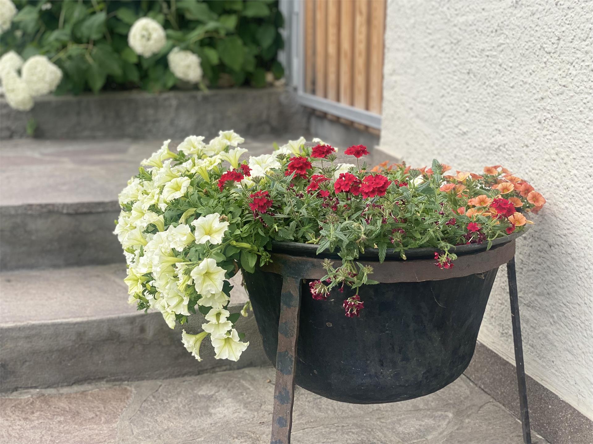 Haus Rieder Pfalzen/Falzes 14 suedtirol.info