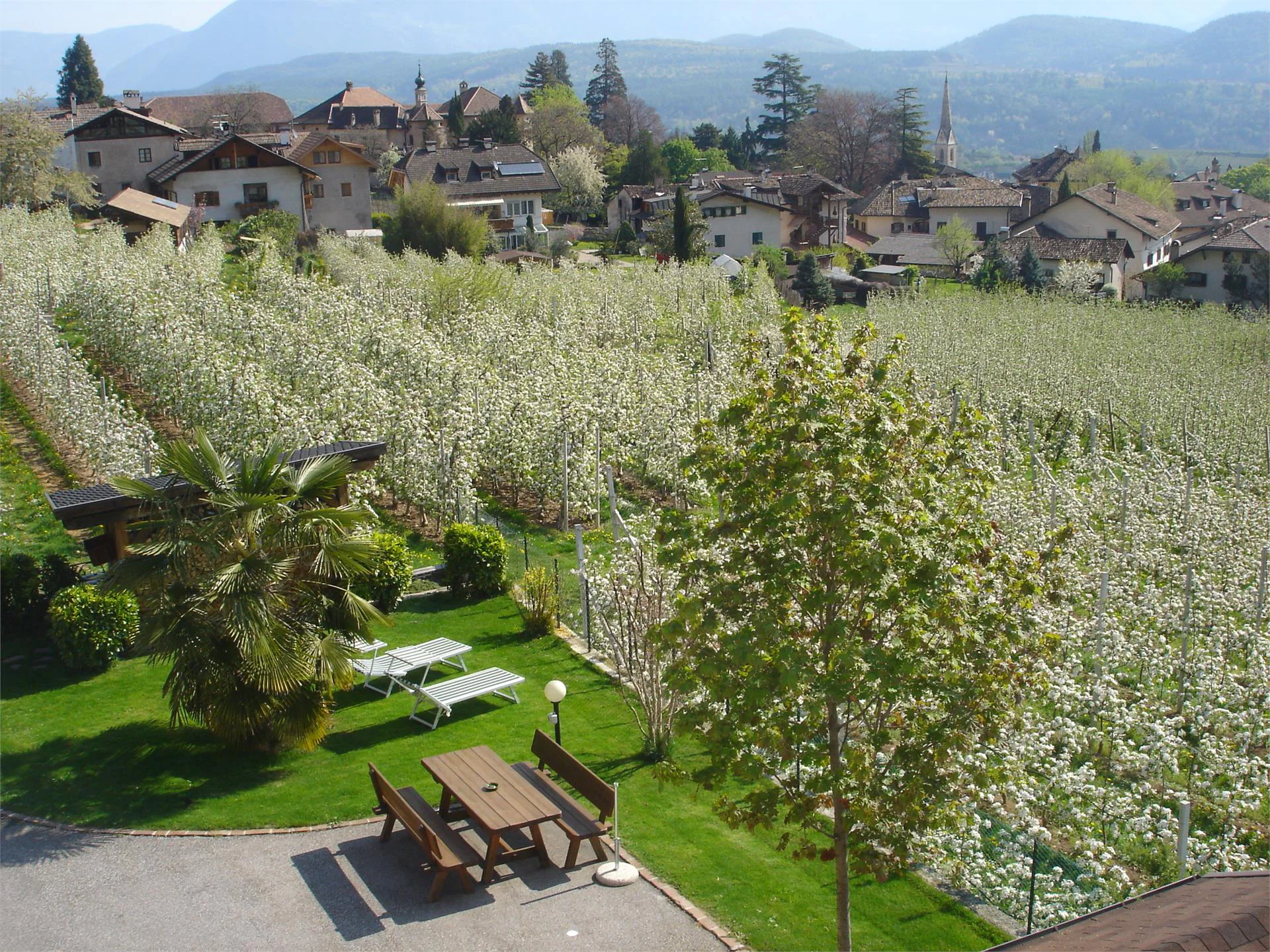 Helmut Andergassen Kaltern an der Weinstraße/Caldaro sulla Strada del Vino 5 suedtirol.info