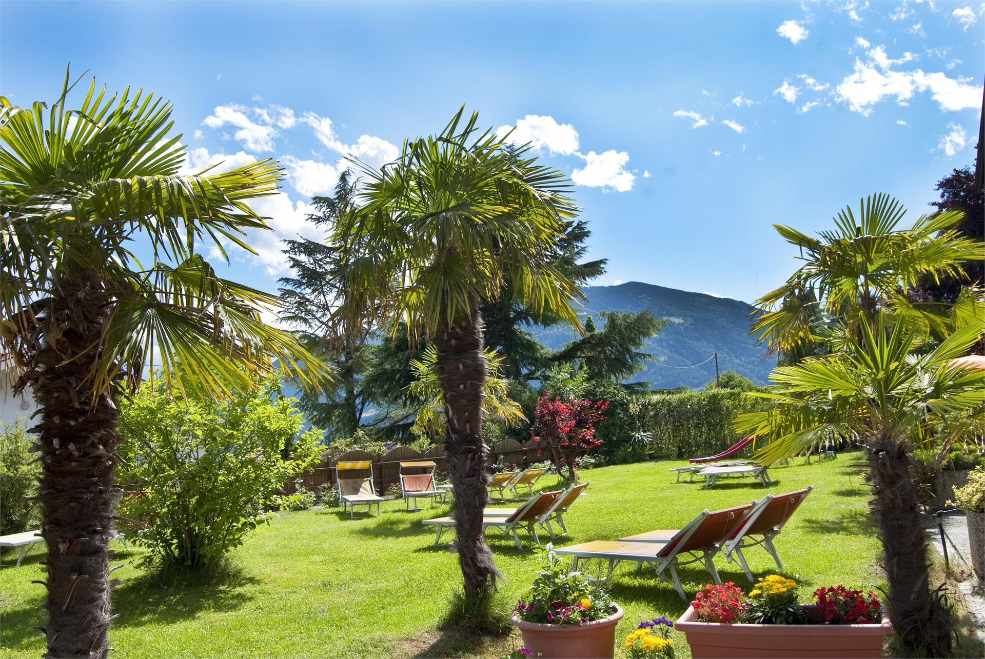 Hotel Inge Tirol 11 suedtirol.info