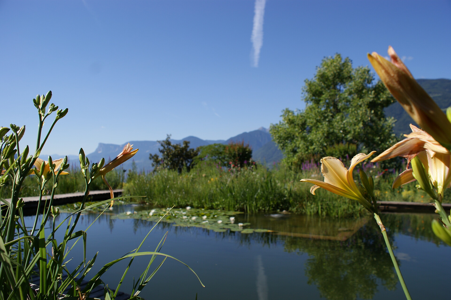 Marini's Giardino