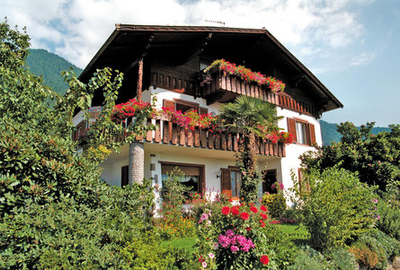 Haus Adang Tirol/Tirolo 1 suedtirol.info