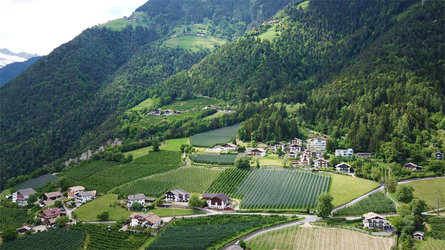 Sonnengarten Tirol/Tirolo 6 suedtirol.info