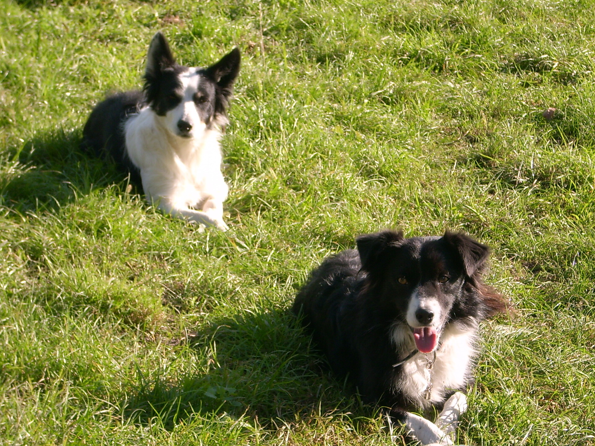 Jessy und Lena