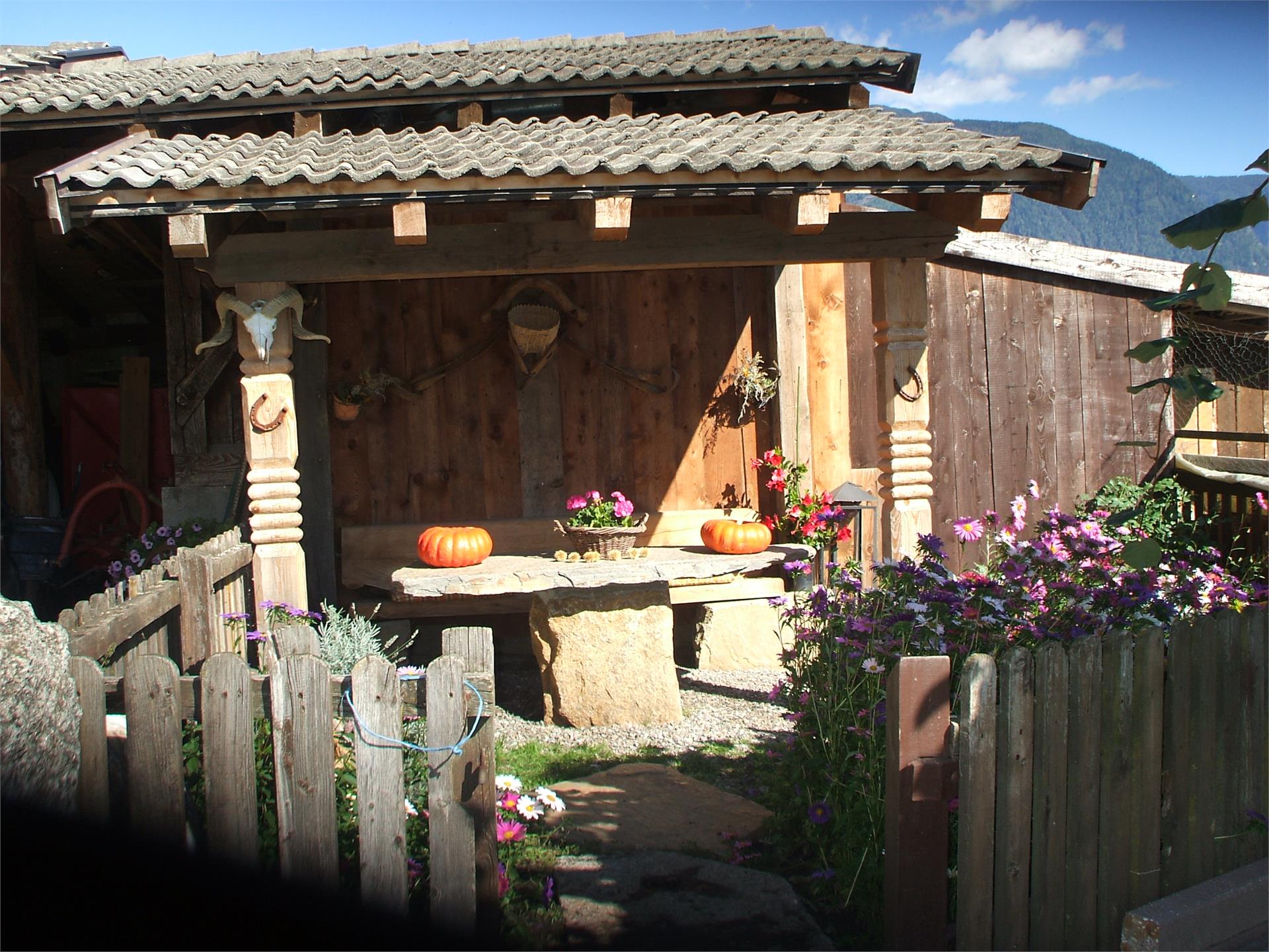 Haus Berggütl Tirol 3 suedtirol.info