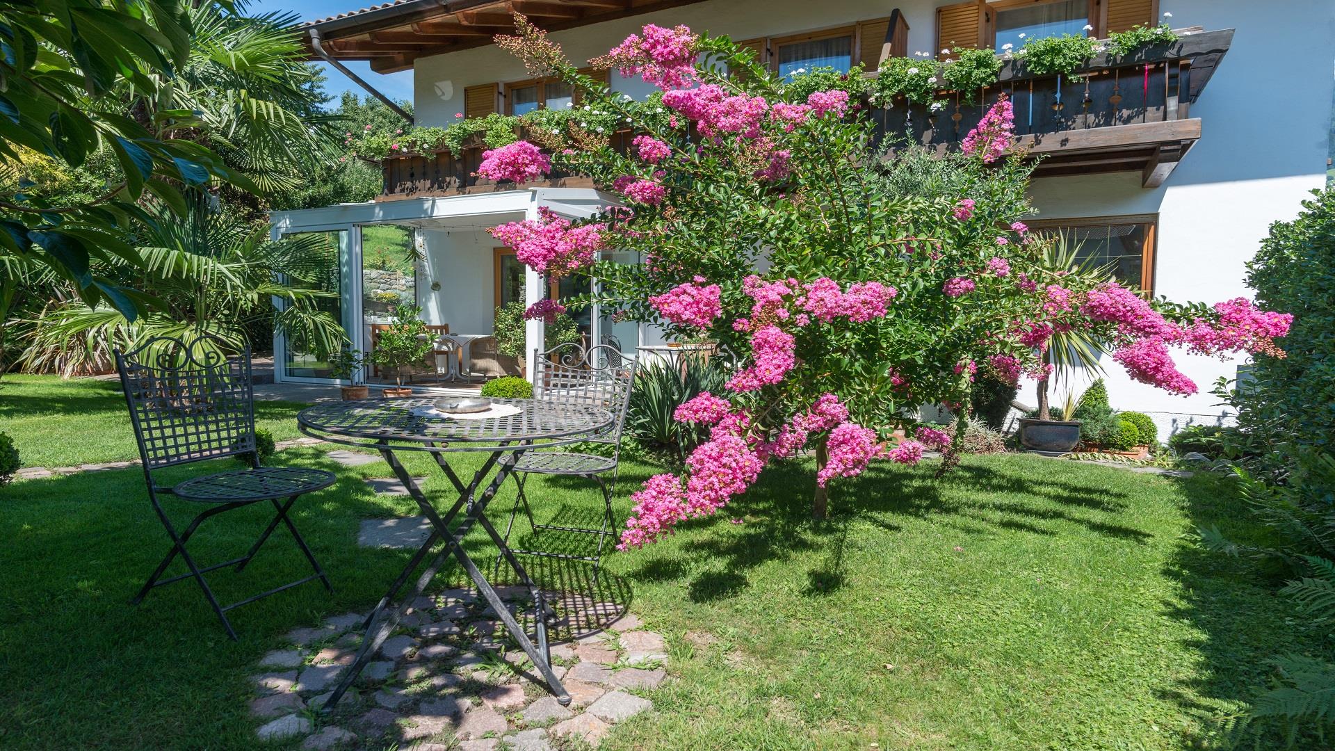 Haus Zenoburg Tirol 20 suedtirol.info