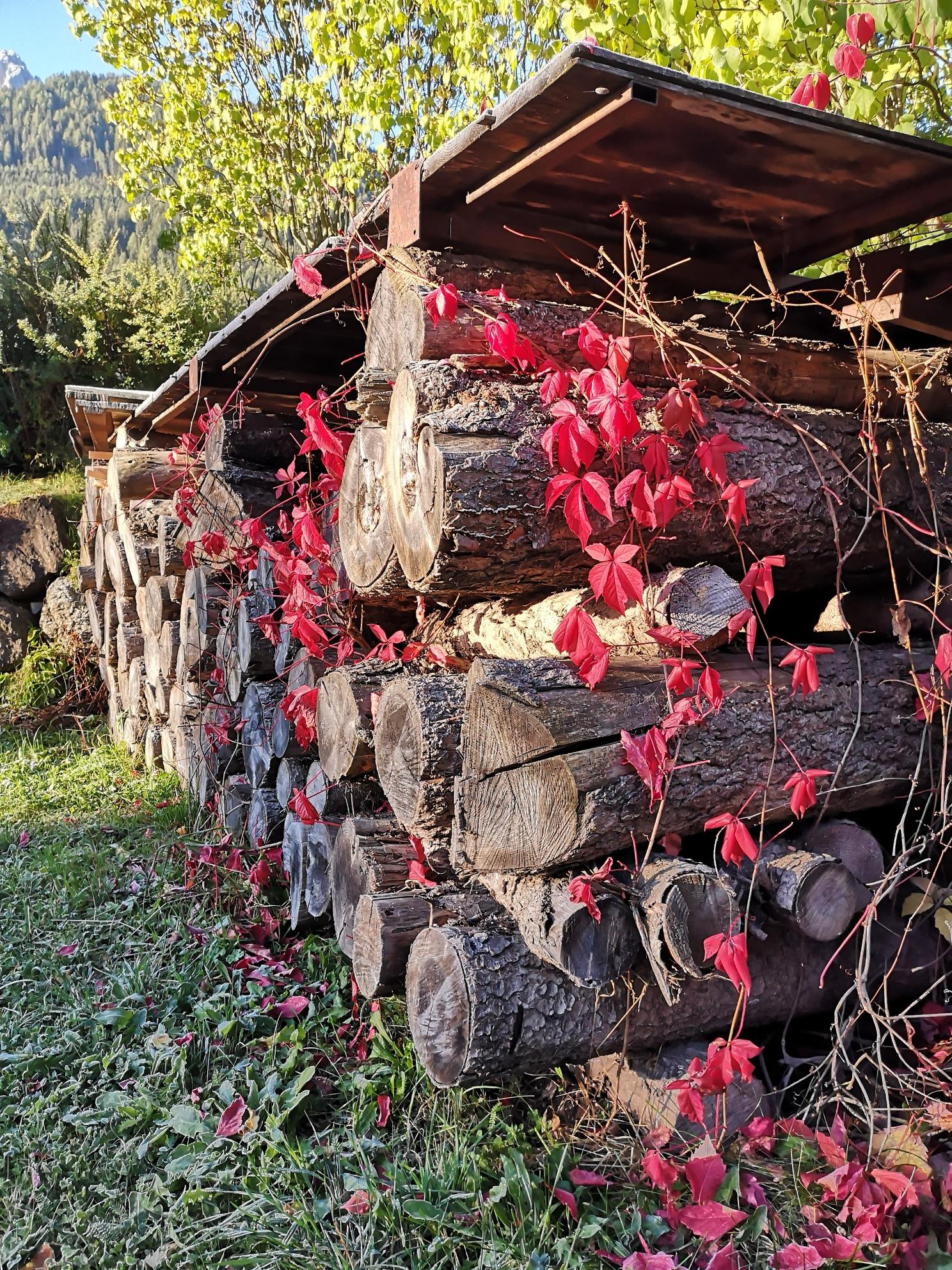Haus Ortner Sexten 18 suedtirol.info