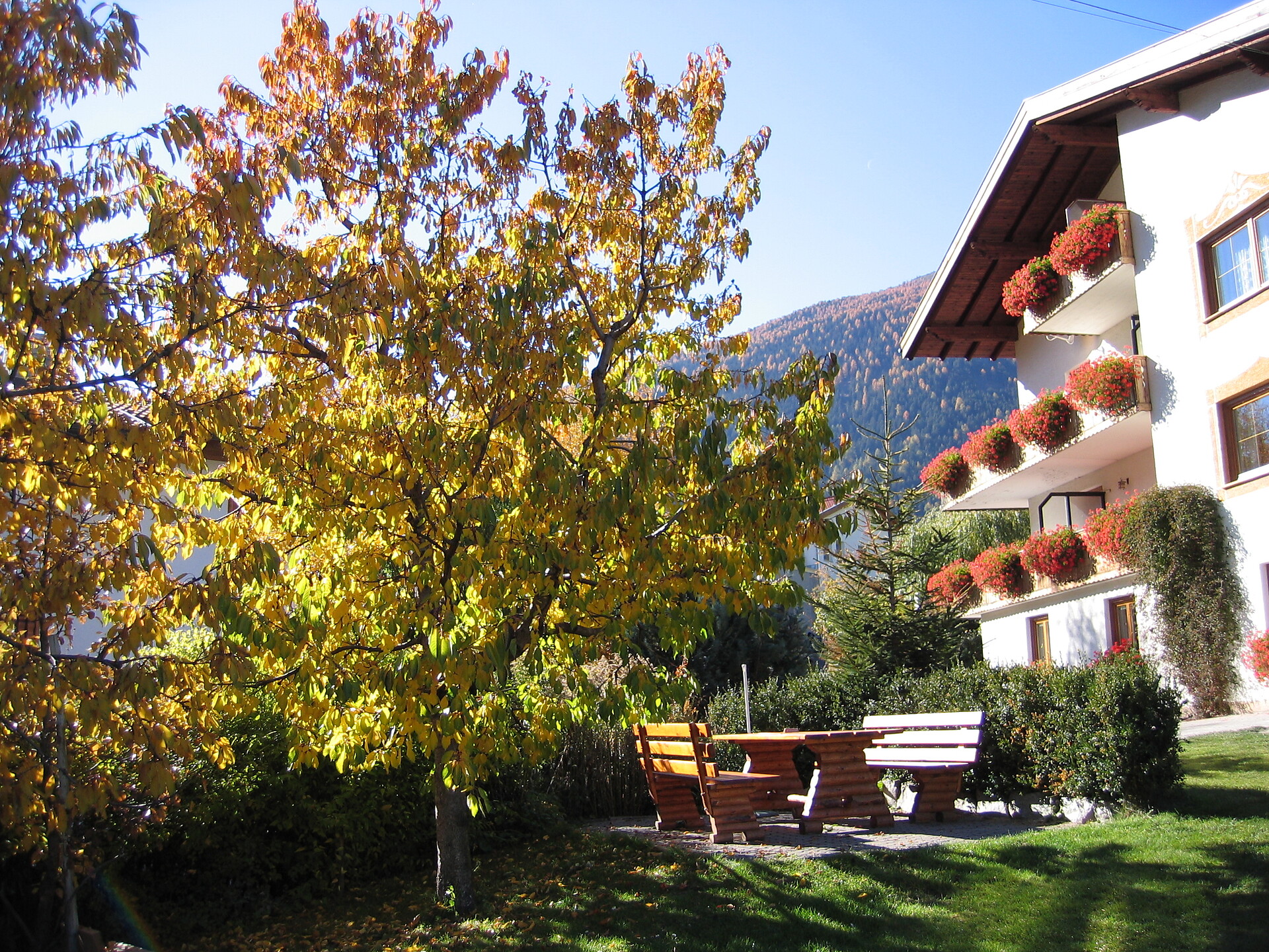 Haus Abart