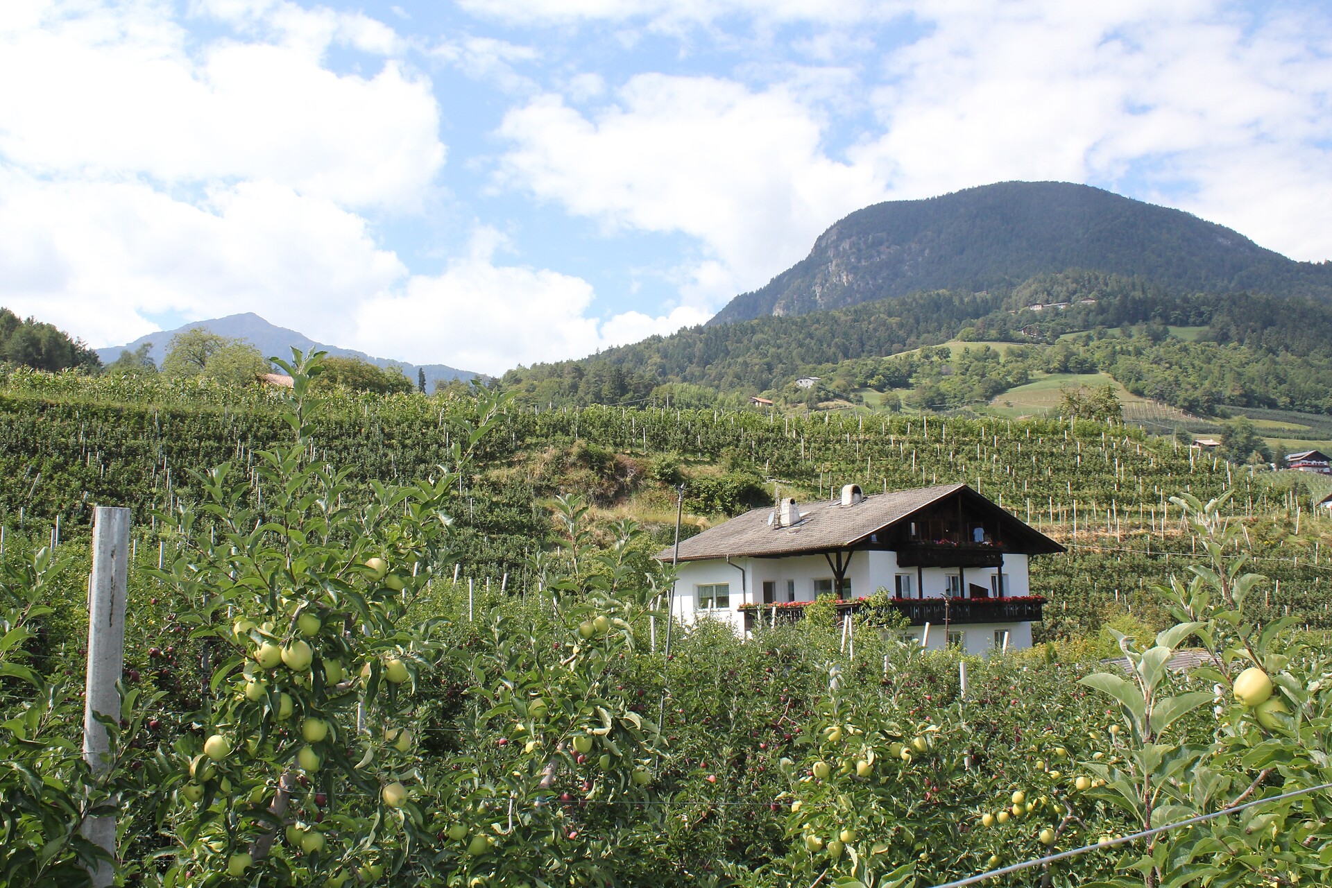 Haus Geiser