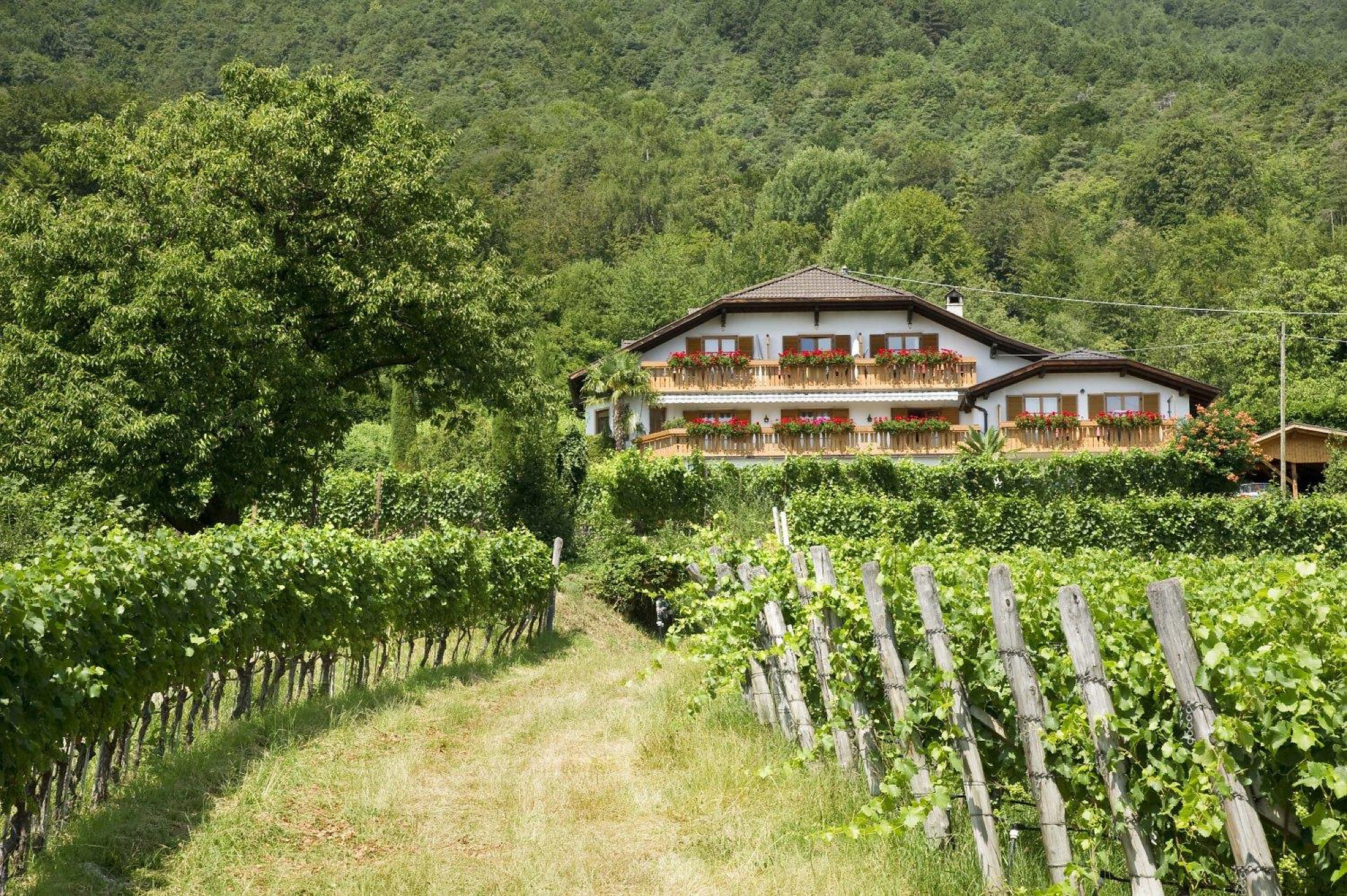 Wolkanhof