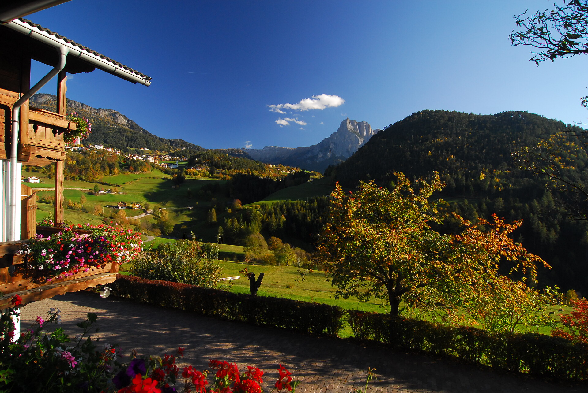 Panorama