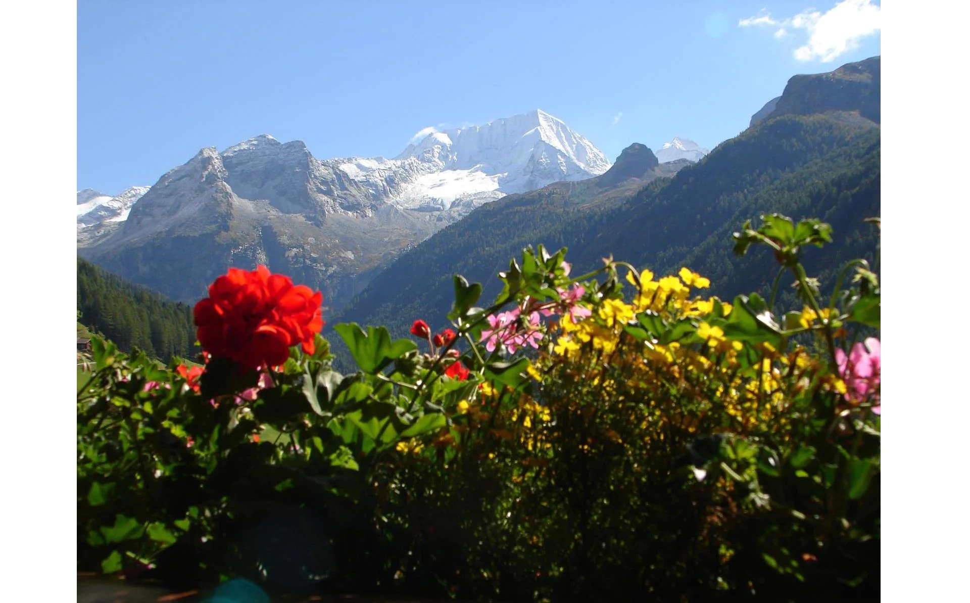 Haus Seeber Rein Sand in Taufers/Campo Tures 4 suedtirol.info