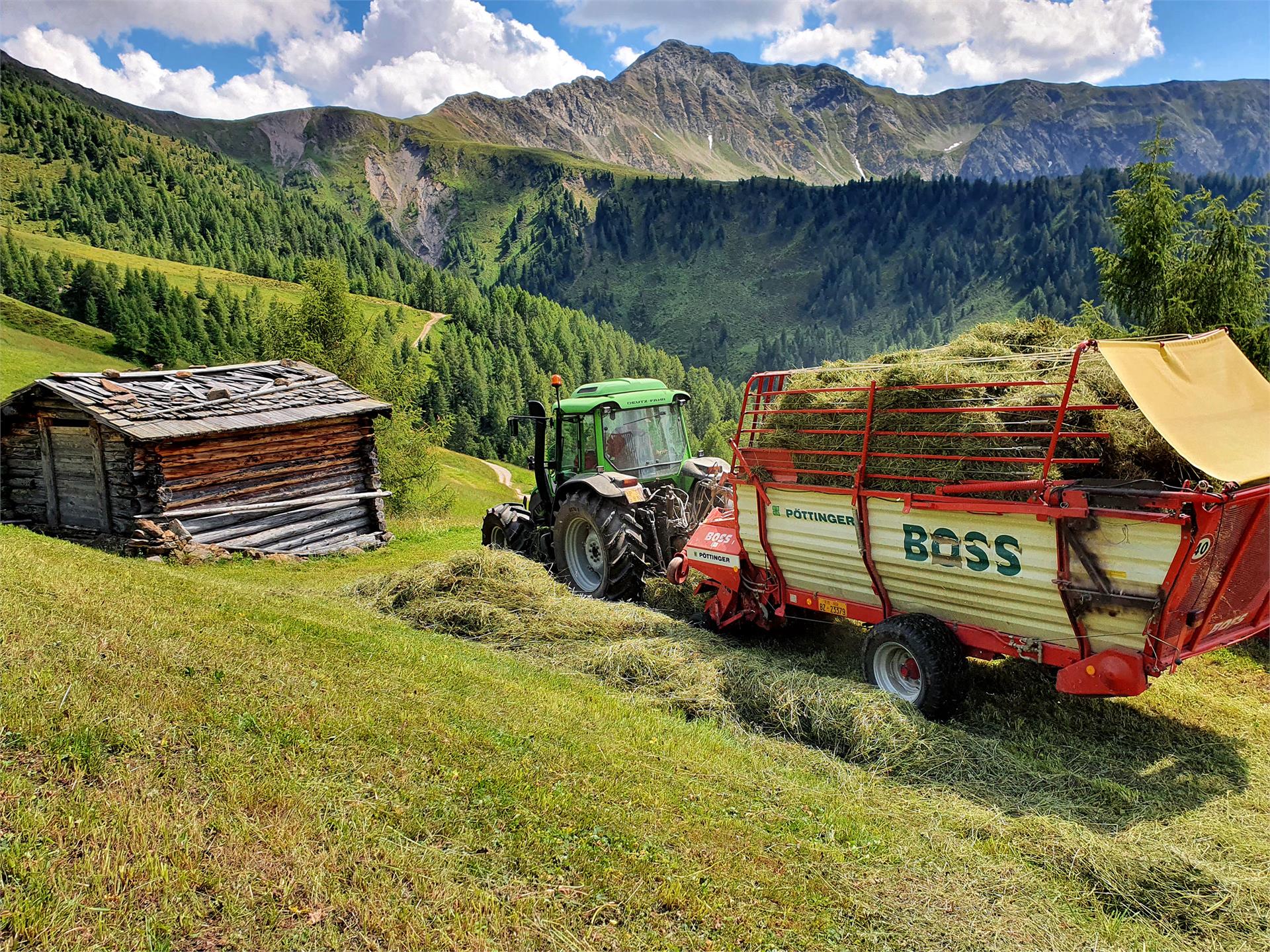 Hoferhof Gsies 10 suedtirol.info