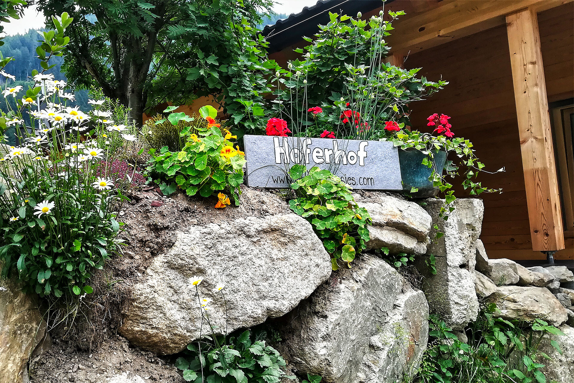 Hoferhof