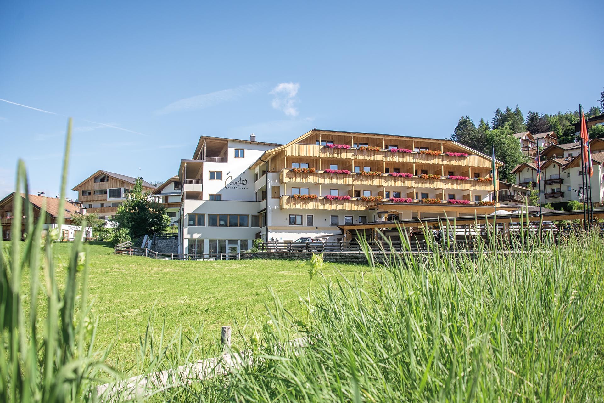Hotel Condor