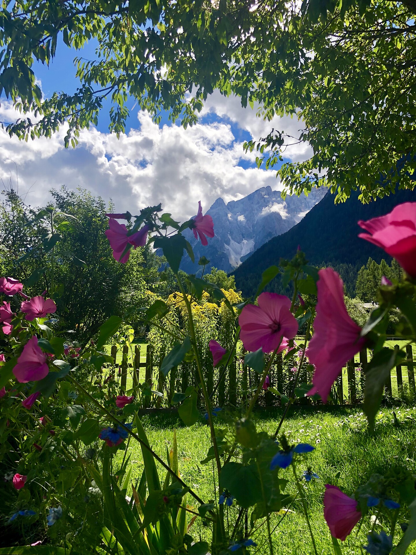 Il nostro giardino