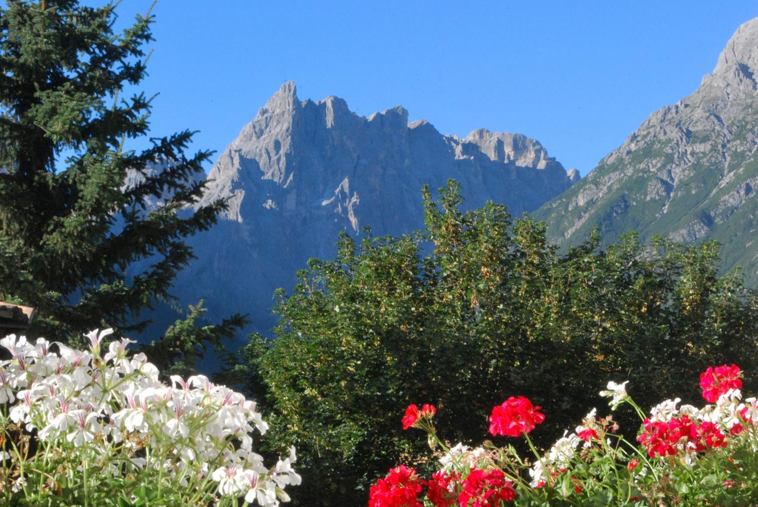 Hotel Holzer Sexten 6 suedtirol.info