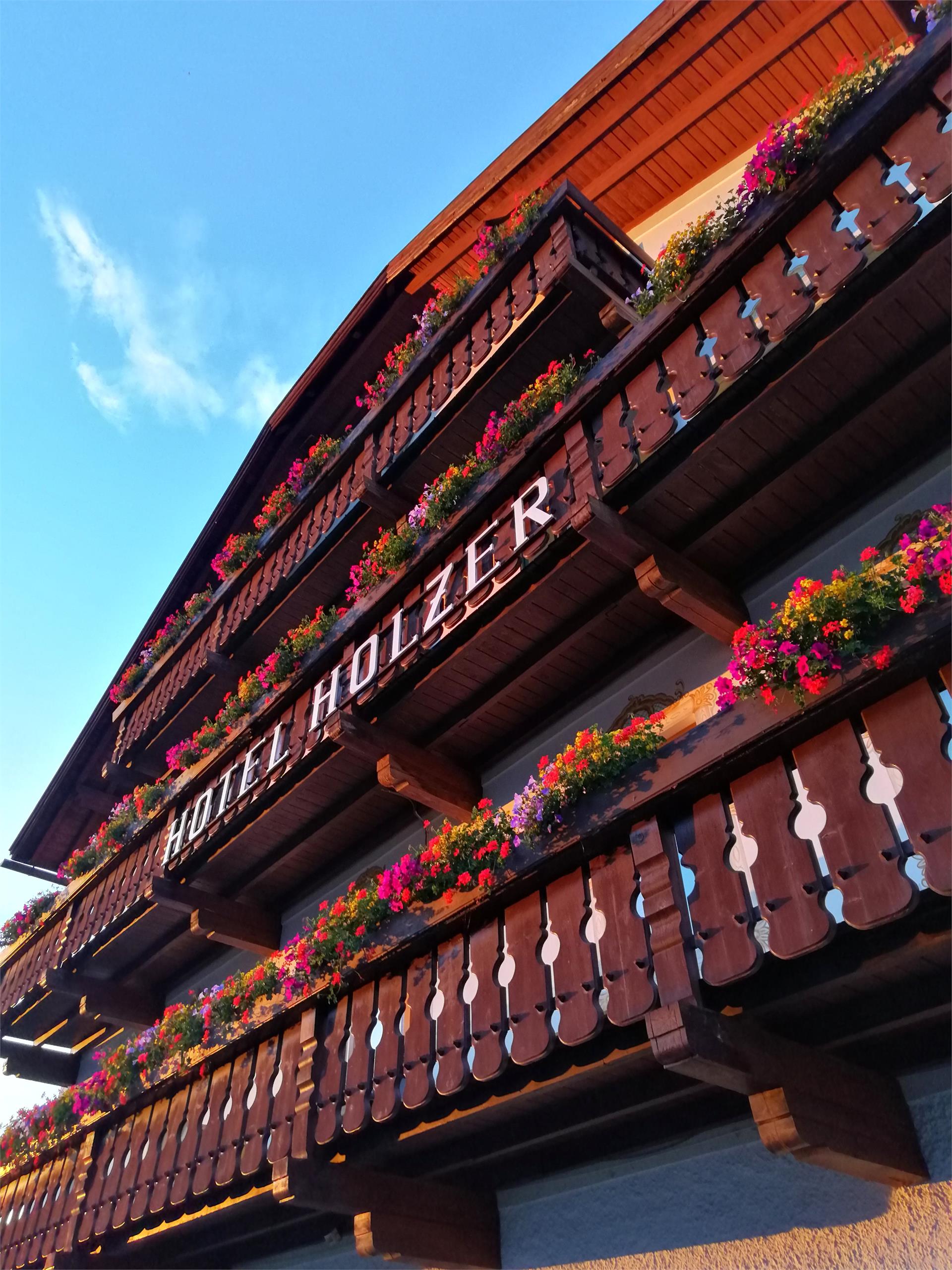 Hotel Holzer Sexten 2 suedtirol.info