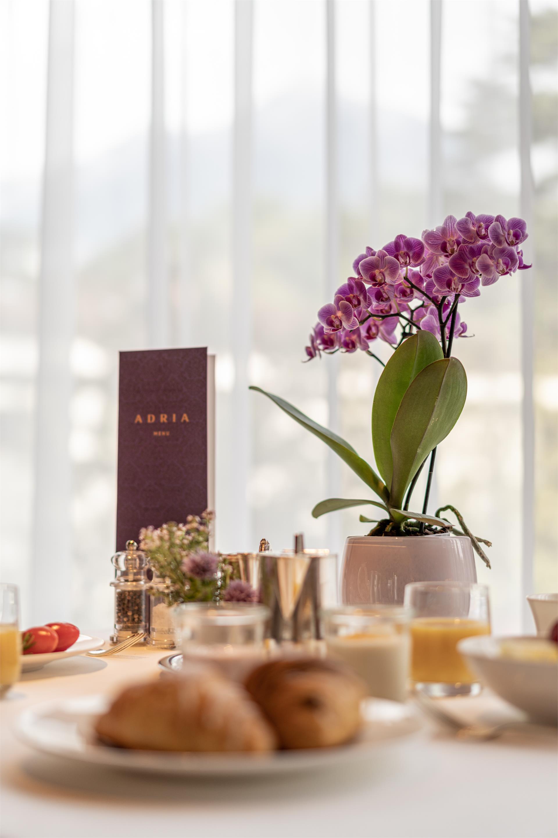 Hotel Adria Meran 16 suedtirol.info