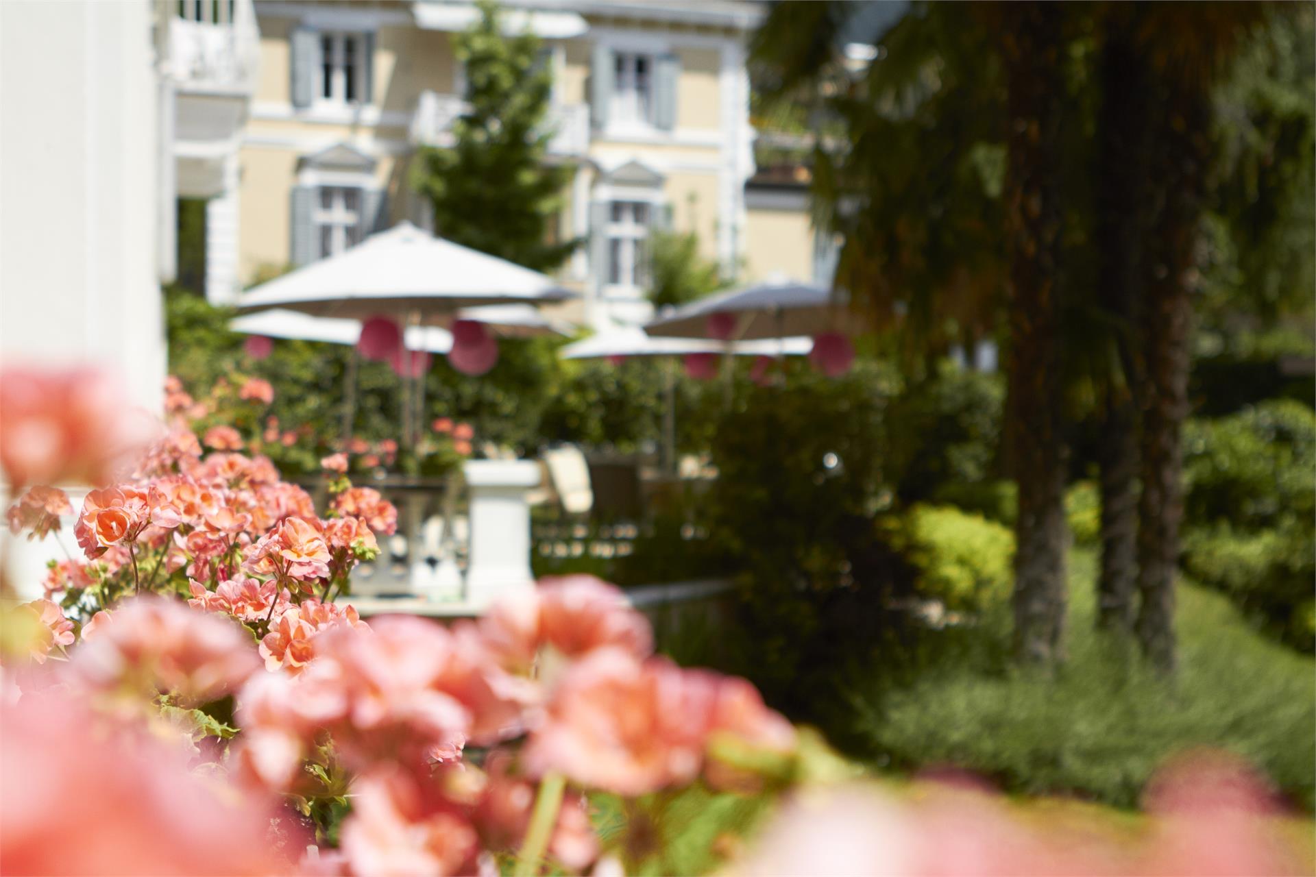 Hotel Adria Meran 4 suedtirol.info