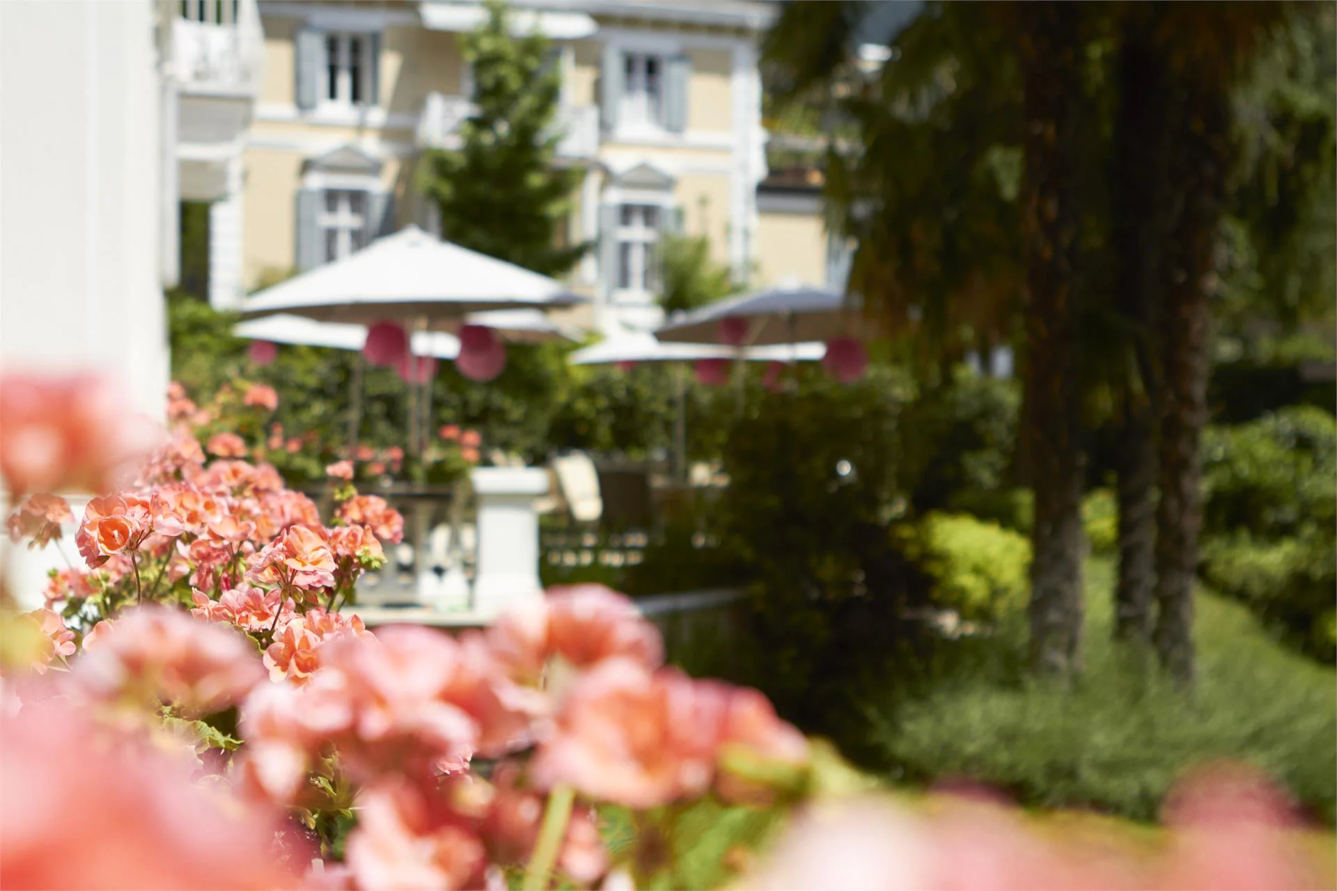 Hotel Adria Meran/Merano 4 suedtirol.info