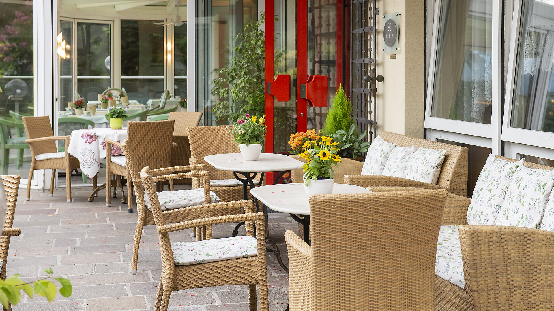 terrace