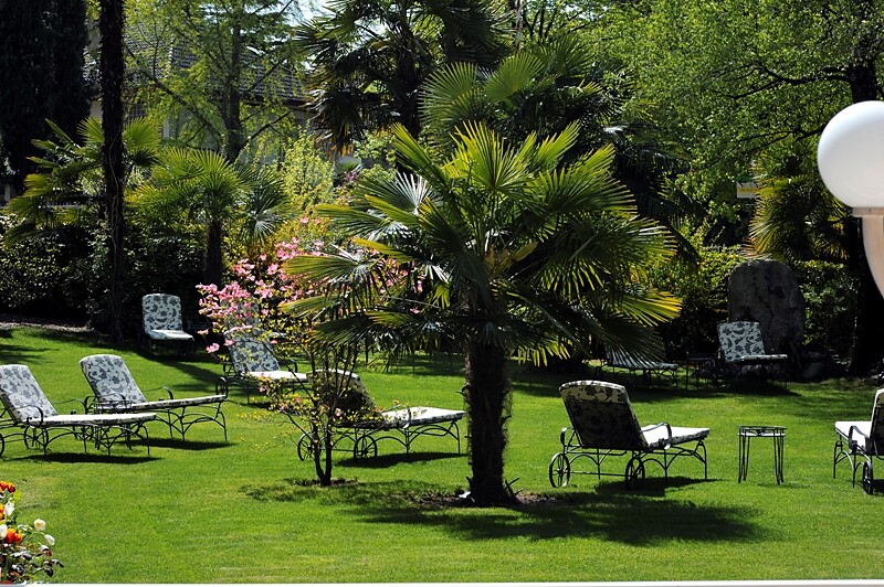 Mediterraner Park mit Palmen