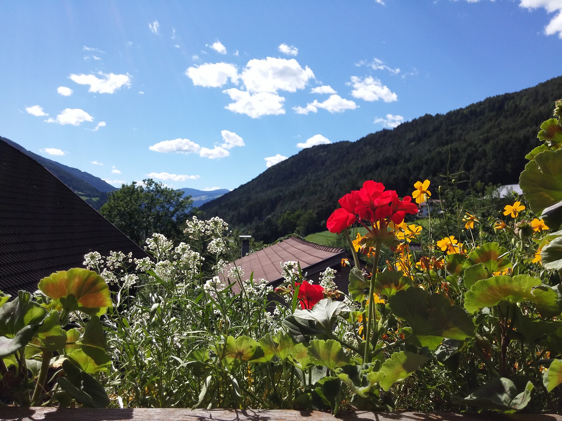 Haus Ploner Kiens/Chienes 16 suedtirol.info