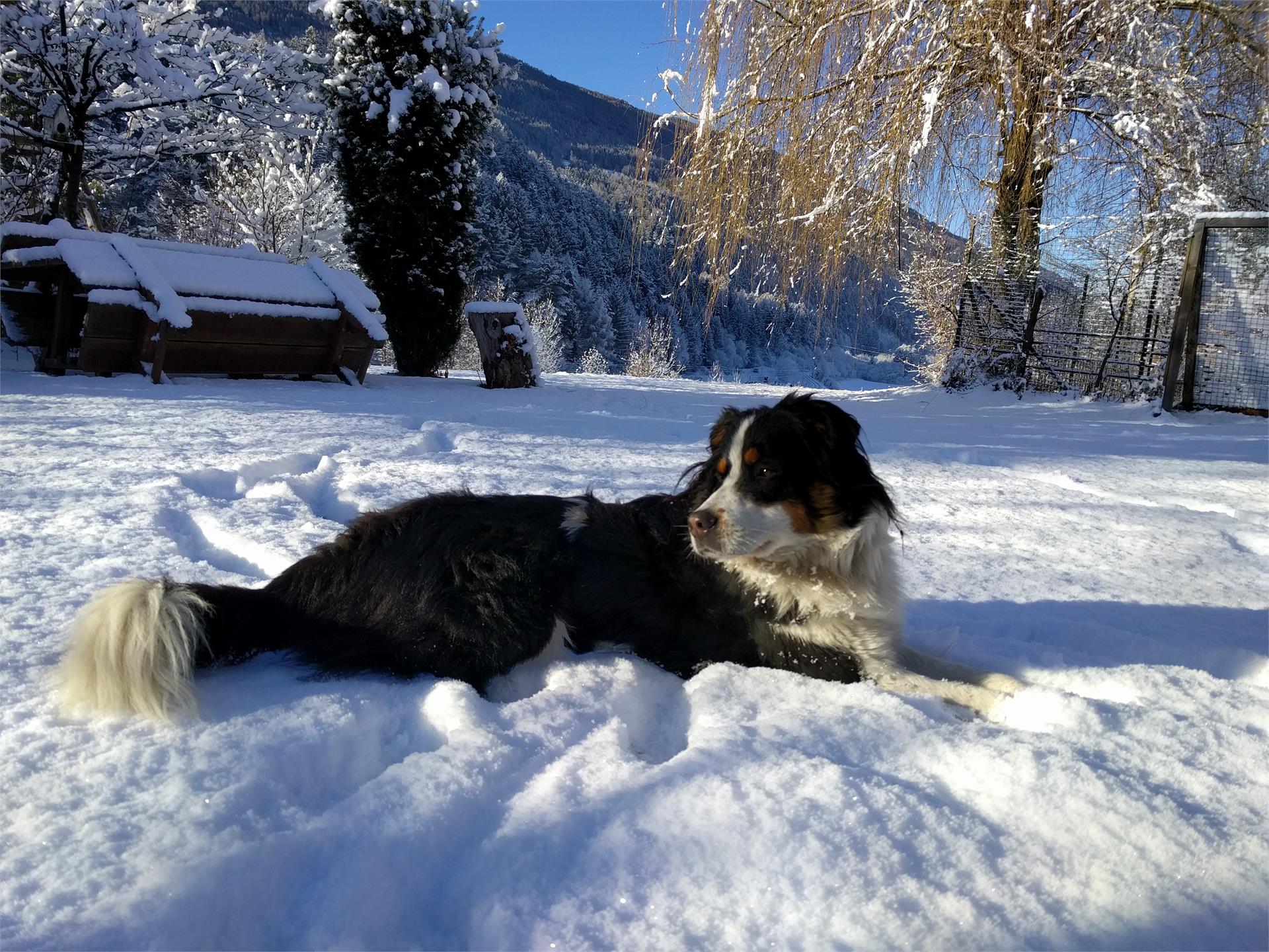 Haus Ploner Kiens/Chienes 14 suedtirol.info