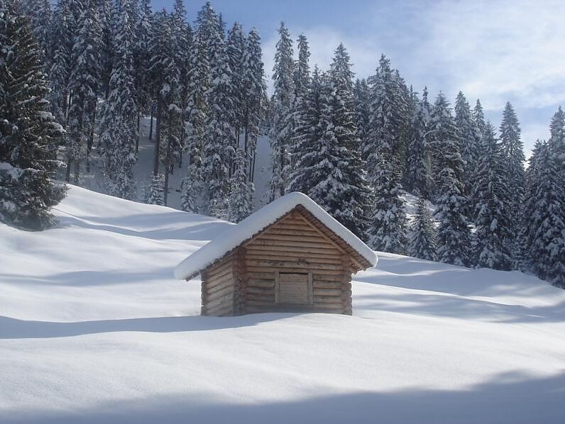 Alpin Natur Hotel Brückele - Dolomitenregion 3 Zinnen - #5 - suedtirol.info