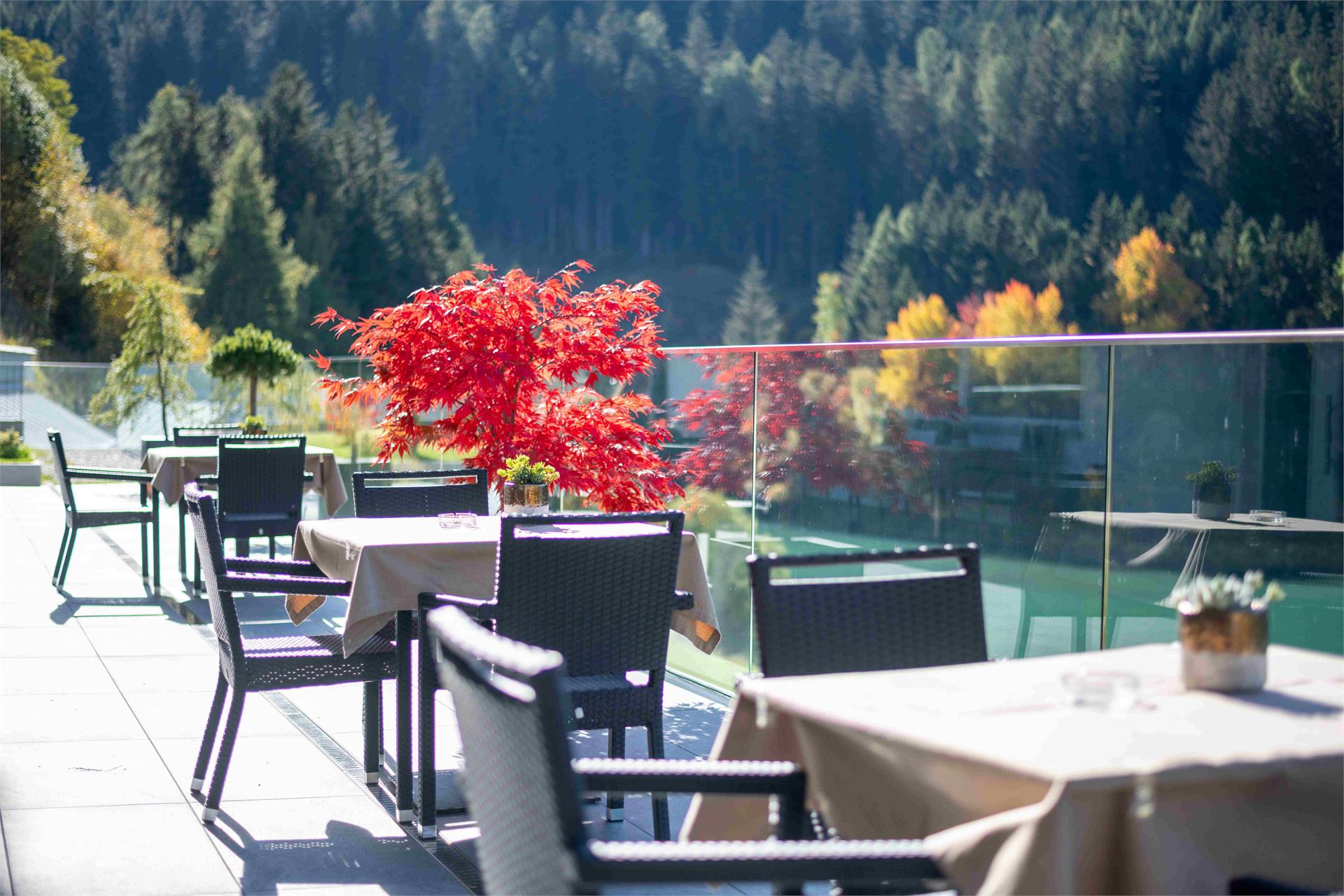Hotel Seehof Welsberg-Taisten 18 suedtirol.info