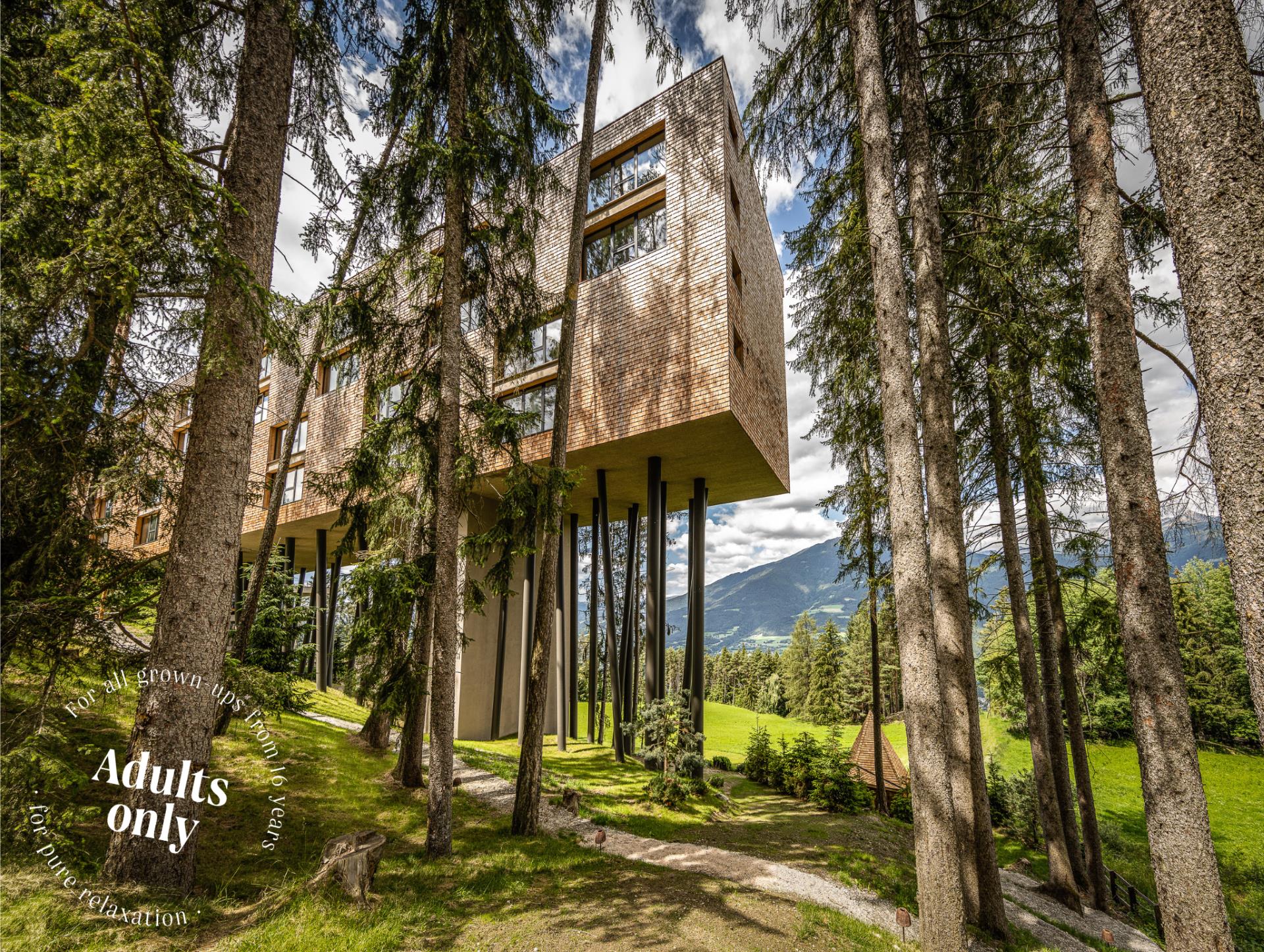 Hotel My Arbor Brixen/Bressanone 1 suedtirol.info
