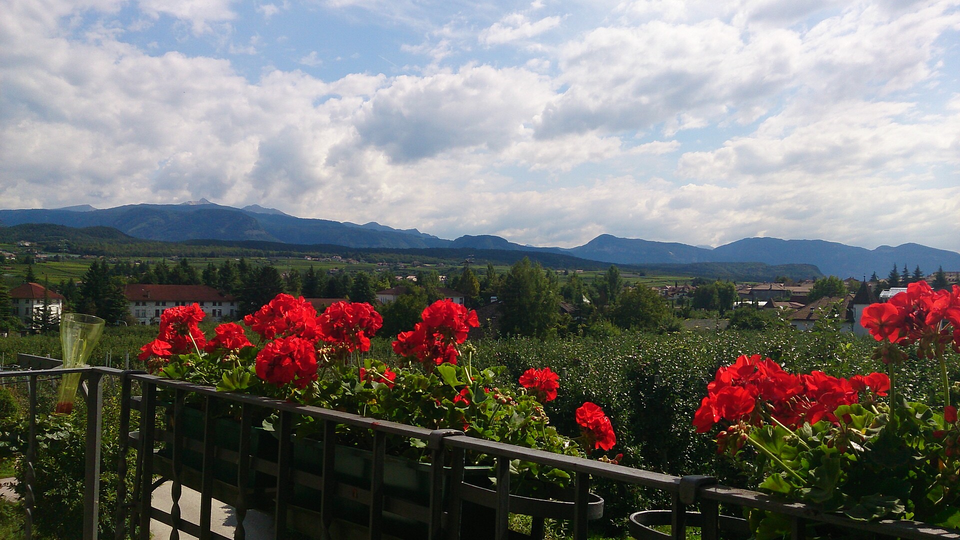 Ausblick