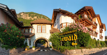 HOTEL LEWALD Bolzano 1 suedtirol.info