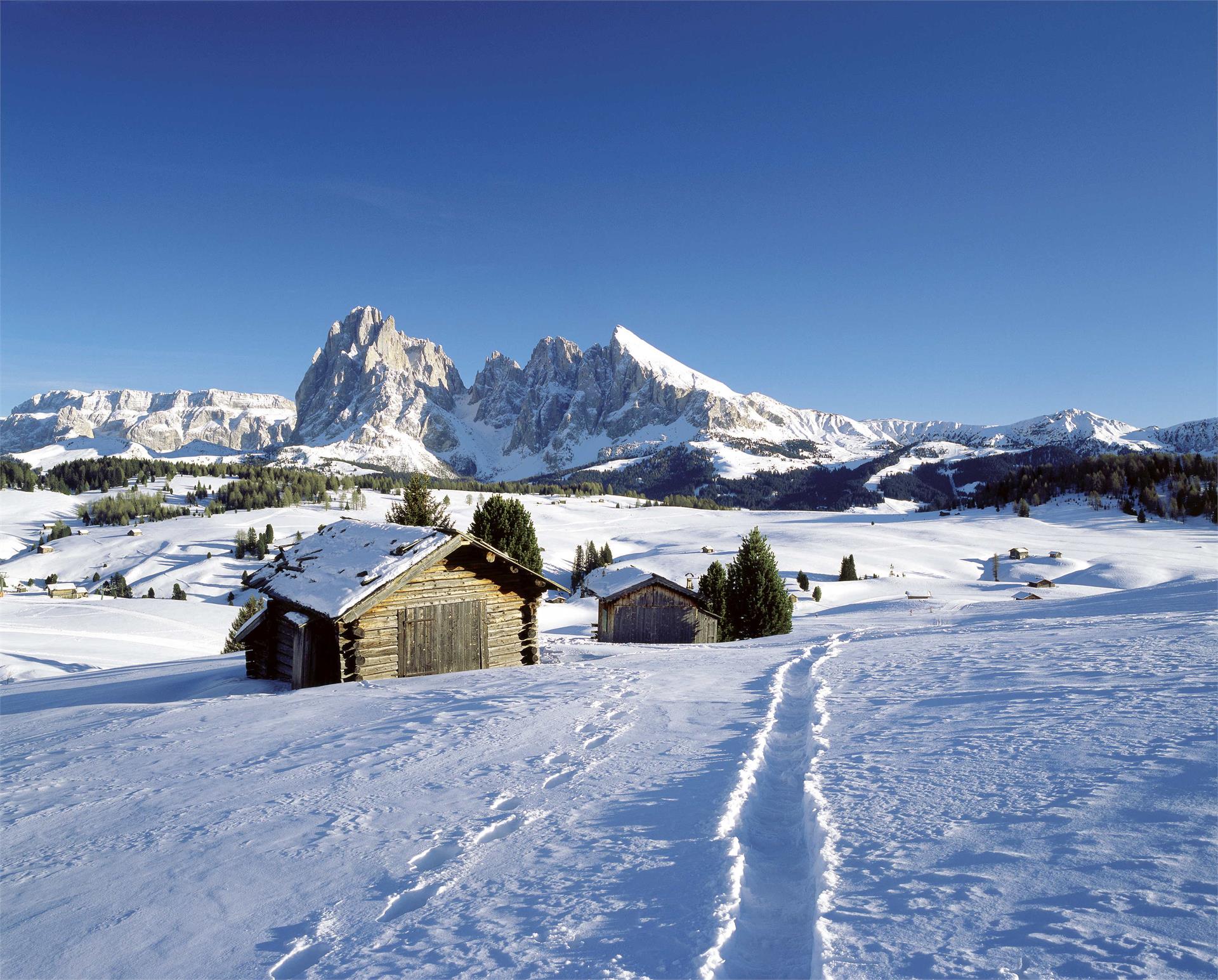 Hotel Tyrol Brixen/Bressanone 16 suedtirol.info