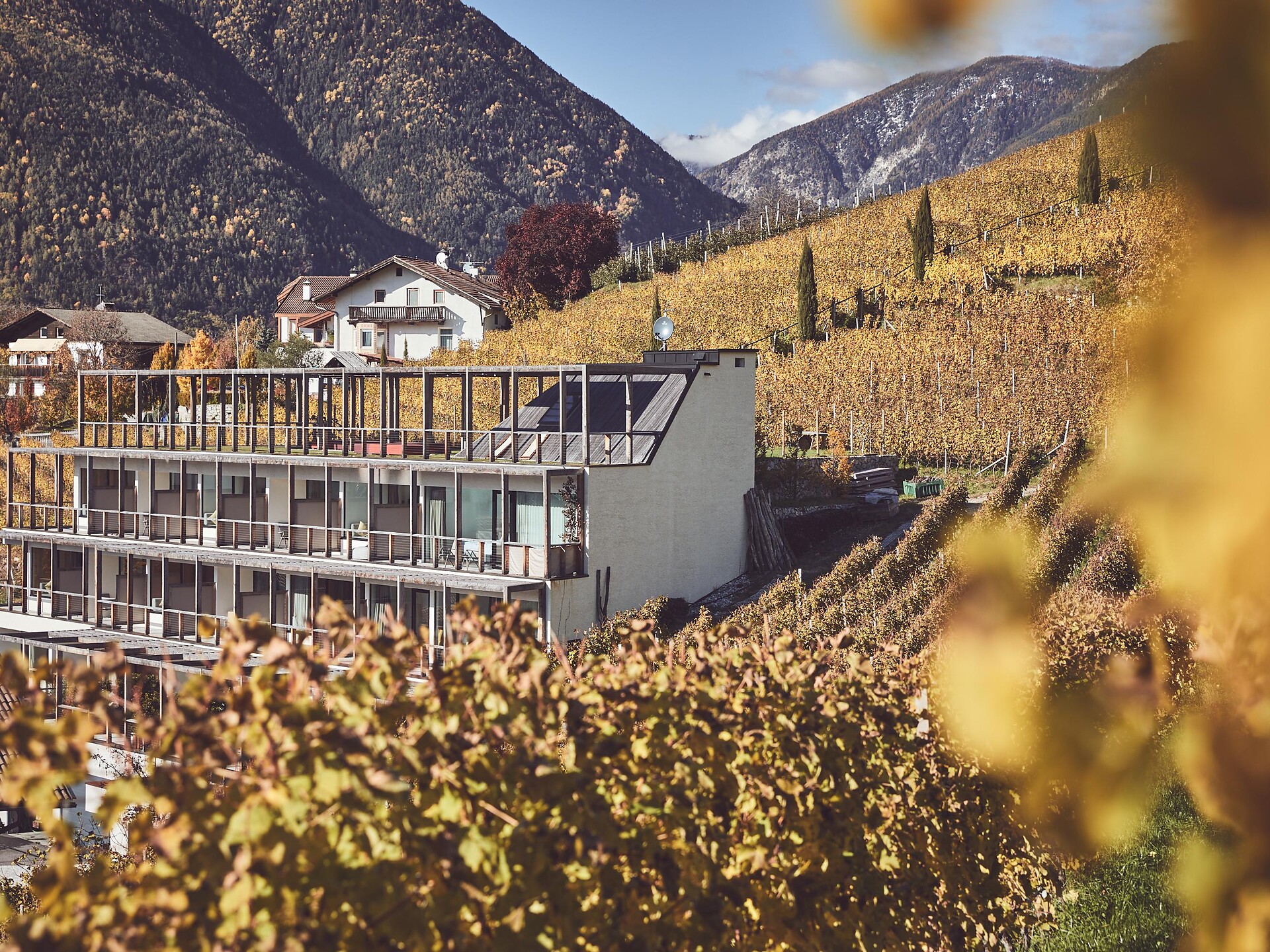 Haller Suites & Restaurant