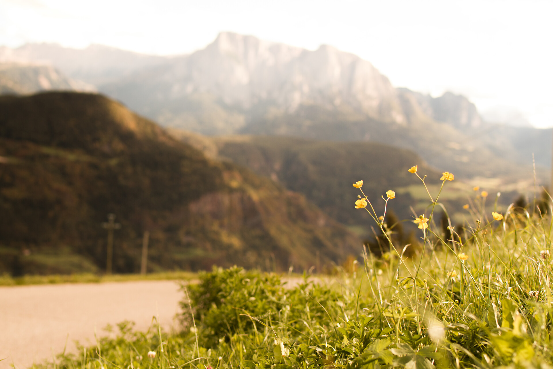 view to the spectacular mountain Schlern